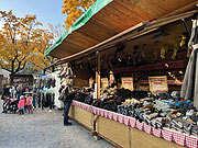 Socken für den Winter..(Foto: Martin Schmitz)
